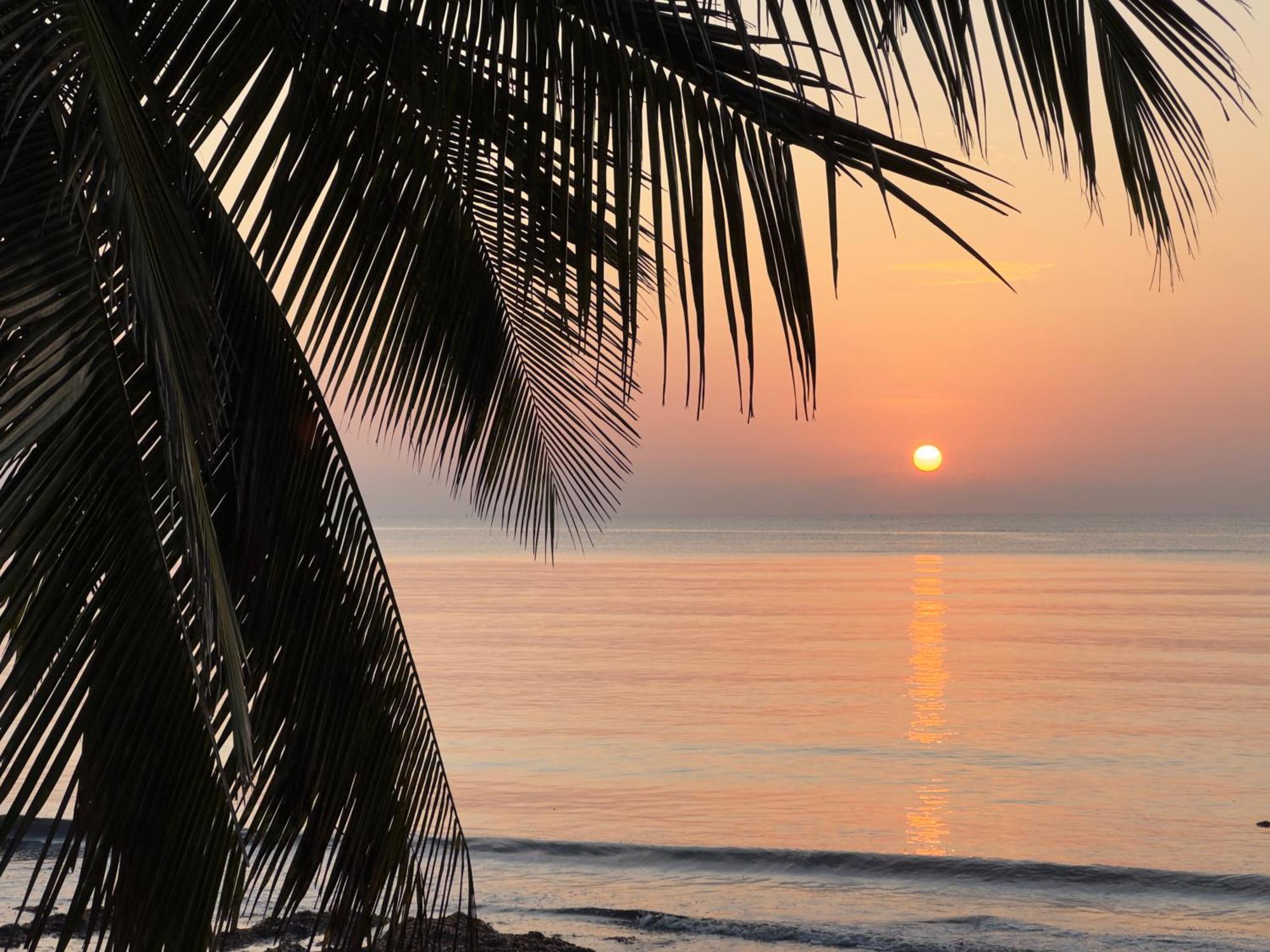 Sawa Sawa Beach House Msambweni ภายนอก รูปภาพ