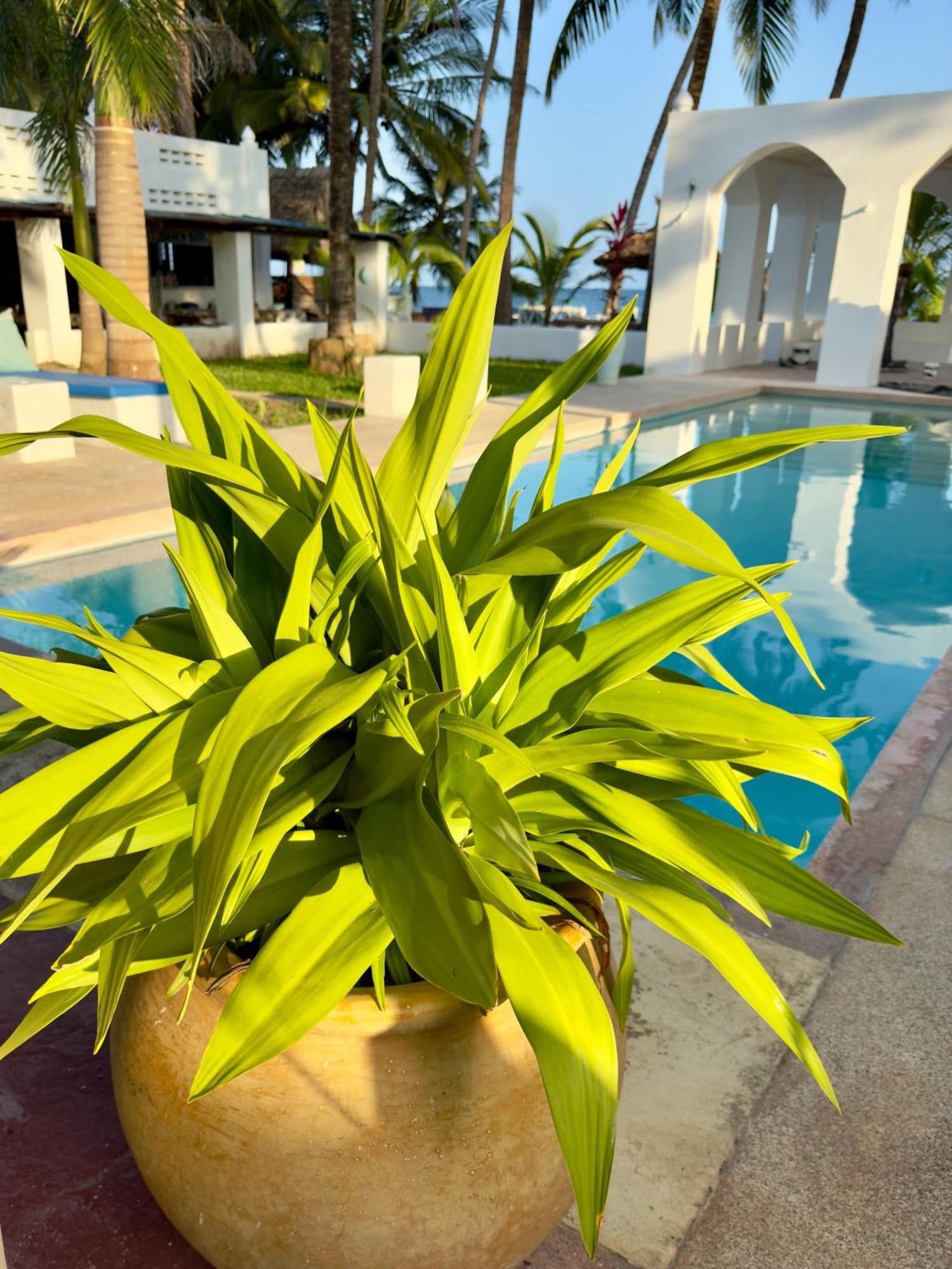 Sawa Sawa Beach House Msambweni ภายนอก รูปภาพ