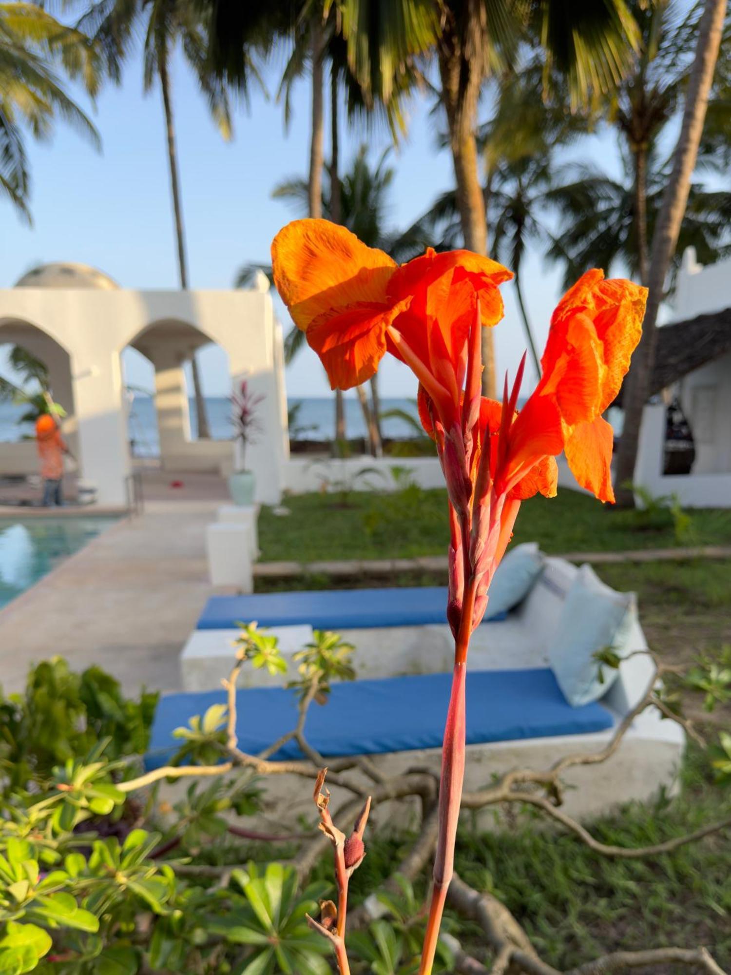 Sawa Sawa Beach House Msambweni ภายนอก รูปภาพ