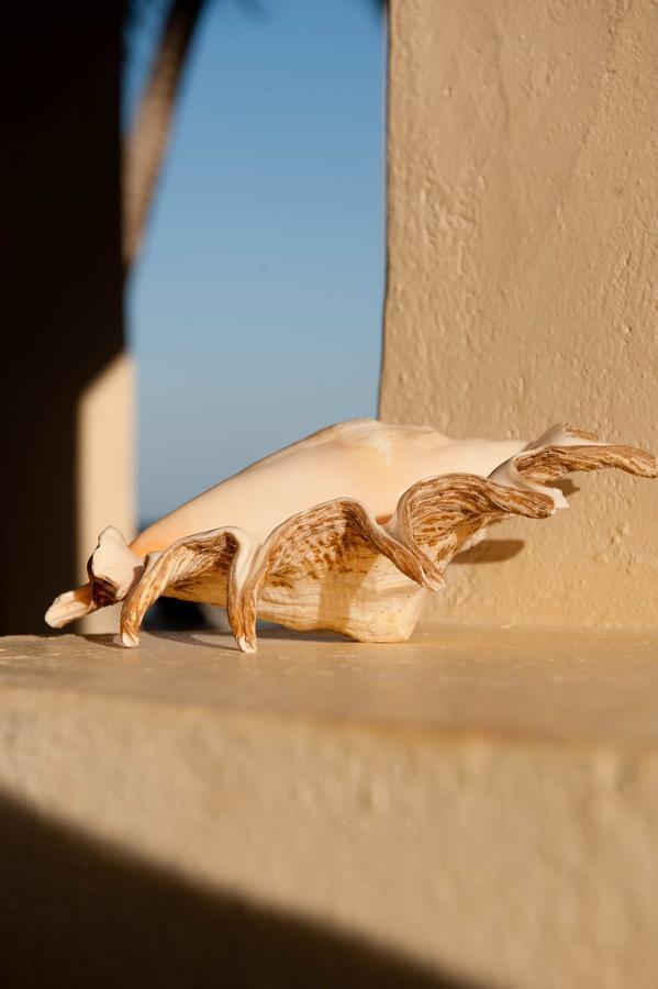 Sawa Sawa Beach House Msambweni ภายนอก รูปภาพ
